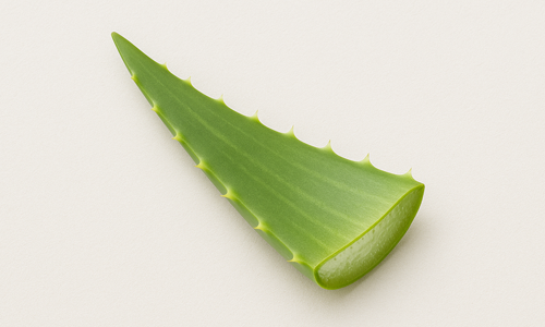Aloe Leaf Juice
