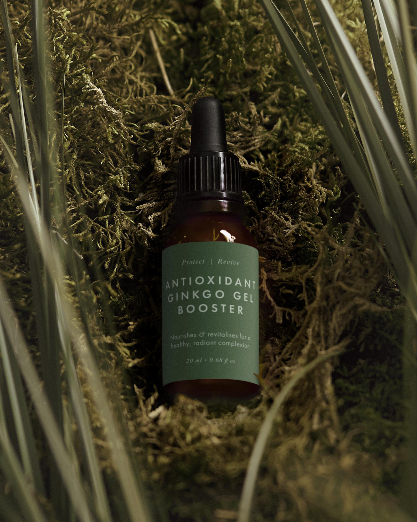 Antioxidant Ginkgo Gel Booster