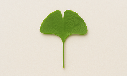Ginkgo Leaf Extract