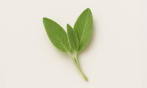 Sage Extract